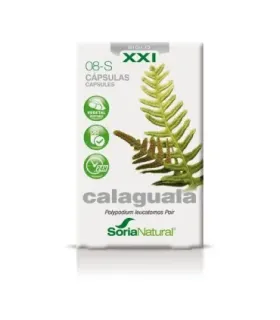 08 C OBESTANE XXI 30 cáps.S. – imagen 2