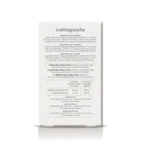08 C OBESTANE XXI 30 cáps.S. – imagen 3