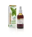 COMPOSOR 13 OXIUR COMPLEX S .XXI