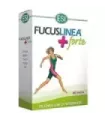 FUCUS LINEA FORTE 45TAB