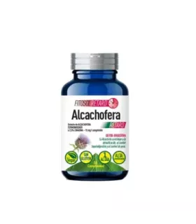Imagen de alcachofa