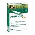 ARTRIKUM PLUS 30 CÁPSULAS