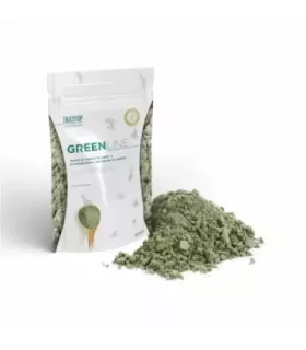 Suplemento alimenticio con té matcha