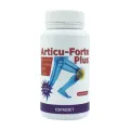 ARTICUFORTE PLUS 60 COMP.