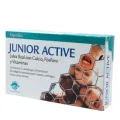 JALEA JUNIOR ACTIVE 20 VIAL.