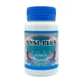 ANSI-PLUS