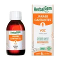 JARABE CANTANTES BIO 250 ML