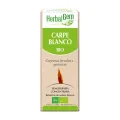 CARPE BLANCO 50ML YEMOUNITARIOS