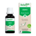 OLIVO BIO 30 ML