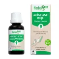ARÁNDANO BIO 30 ML YEMOUNITARIOS