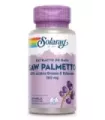 SAW  PALMETTO - 60 PERLAS