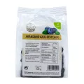 ARANDANO AZUL DESECADO 100 G