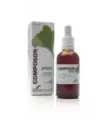 COMPOSOR 41 - GINCOX S. XXI