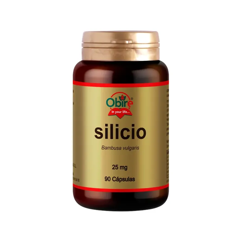 SILICIO 25 MG. 90 CAPSULAS