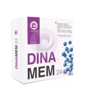 Imagen de DINAMEM 24