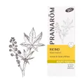 RICINO BIO 50ML