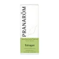ESTRAGON 5ML ( PRE DILUIDO)