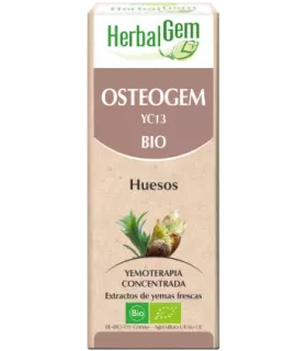 Imagen que ilustra los beneficios de un producto para la prevención de la osteoporosis y la regeneración ósea.