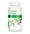 Incienso (boswellia)  120 caps bio