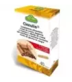 CINNULIN  40CAP