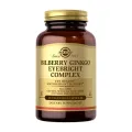 GINKGO EYEBRIGHT 60 CAPSULAS