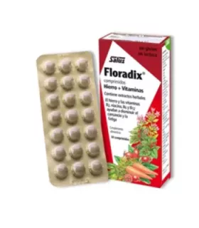 Imagen de comprimidos Floradix