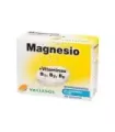 MAGNESIO VIT.B1,B2,B3 24 COMP