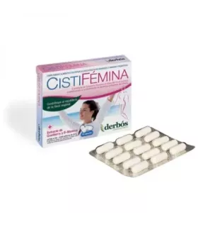 Imagen de un aparato urogenital específico para mujeres.
