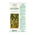 CHAMPU EUCALIPTO 250 ML