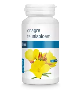 Imagen de flores amarillas de la planta onagra