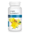 Aceite de onagra 500 mg 60 CAPS BIO