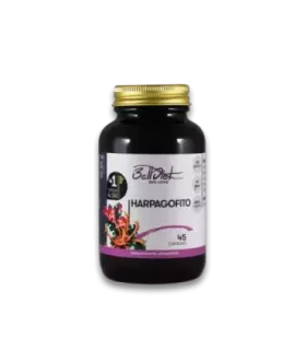 Imagen de Harpagophytum procumbens