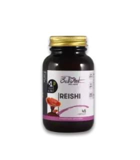 Imagen del Ganoderma lucidum