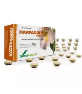 Imagen del polvo de Harpagofito (Harpagophytum procumbens) en presentación de 450 mg.