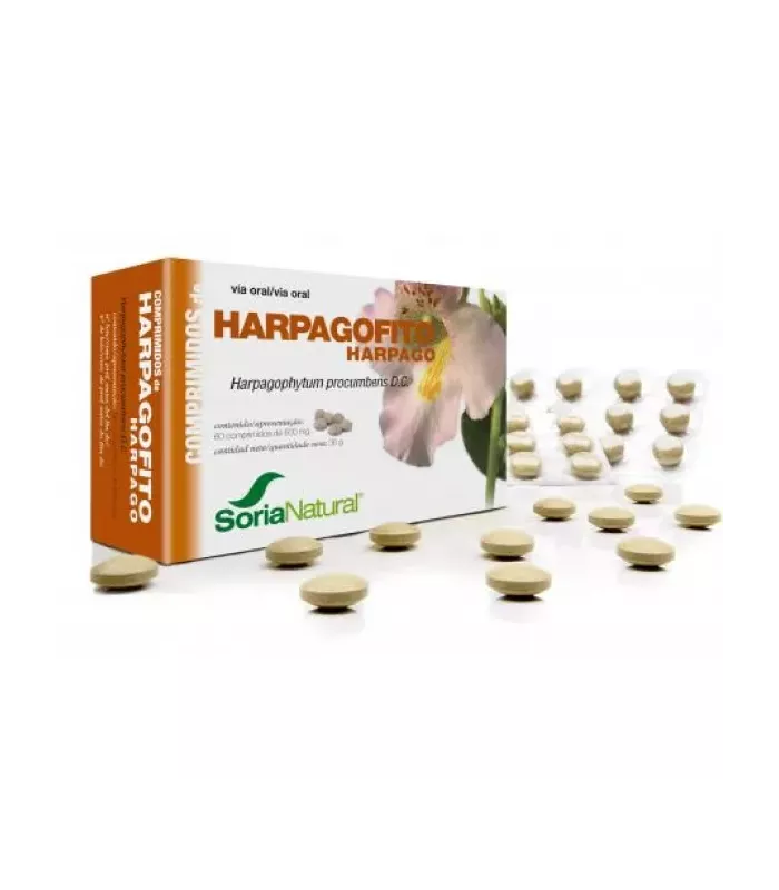 Imagen del polvo de Harpagofito (Harpagophytum procumbens) en presentación de 450 mg.