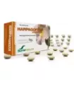 HARPAGOFITO COMPRIMIDOS