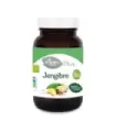 JENGIBRE BIO, 90 CÁP. 500 MG