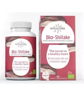 Imagen de setas Shiitake