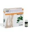 PLANTAGGIO HB