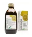 DEPOSOR LEMON 240 C.C.
