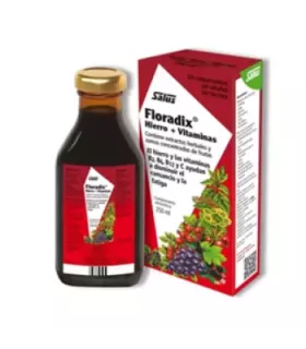 Imagen de Floradix